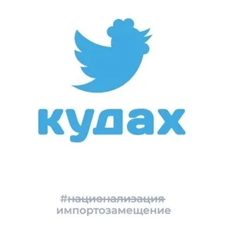 Маленькое хозяйство🐔🦆🐐 banner