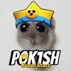 p0k1sh banner