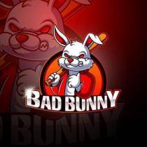 🇮🇳BUNNY✓STORE 