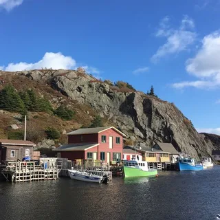 New Newfoundlander banner