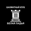Белая Ладья. Шахматный клуб. Брянск. banner