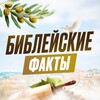 Библейские факты 🕊 banner