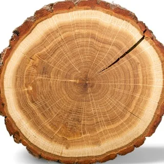 PRO ДЕРЕВО banner