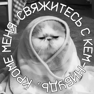 Ksenia | Rusakova banner