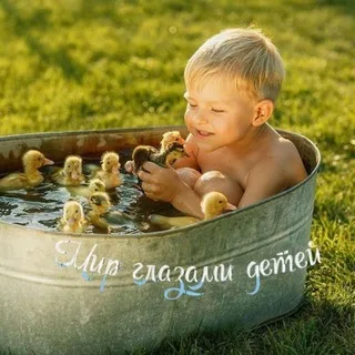 Мир глазами детей banner