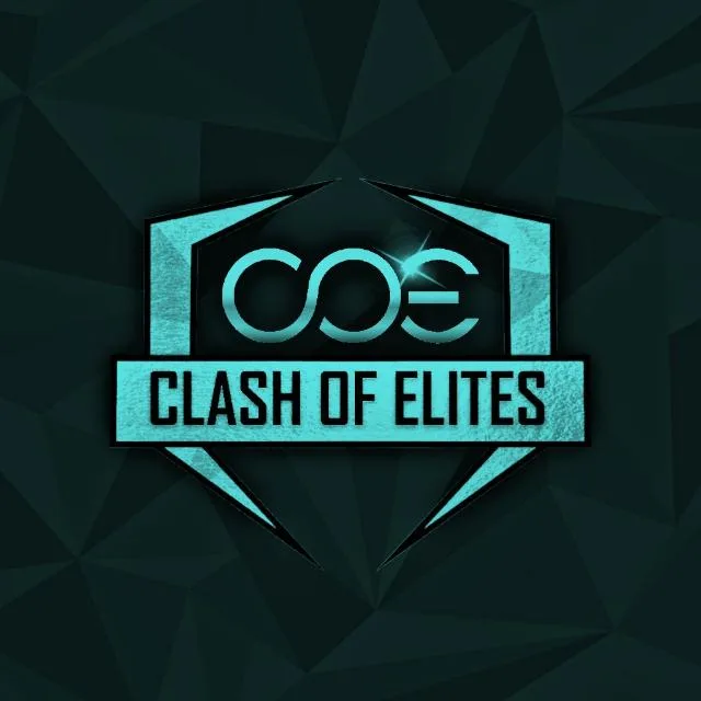 COE QUERY T3 banner