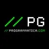 PROGRAMMATICA.COM banner