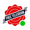 freeTelegram — ваш гид по скидкам banner