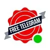 freeTelegram — ваш гид по скидкам banner