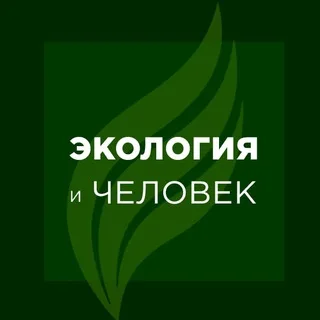 Экология и Человек banner