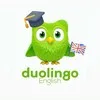 Duolingo Community banner