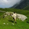 Panorama Suite / жизнь во Франции•путешествия по Европе banner