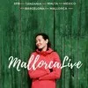 🌈MallorcaLive | ex-KilimanjaroLive | banner