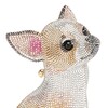 Golden Chihuahua banner