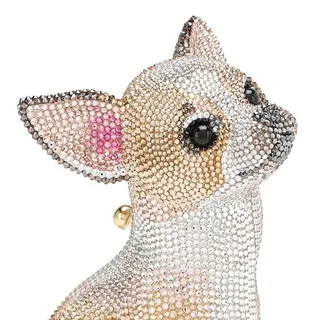 Golden Chihuahua banner