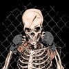 BEST of MMA banner