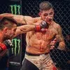 В НОКАУТЕ 👊🏻 banner