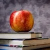 Профессор кислых щей banner