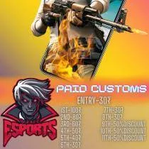 PIRATE e-sports 2 banner