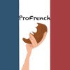 Profrench banner