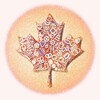 My Moncton banner