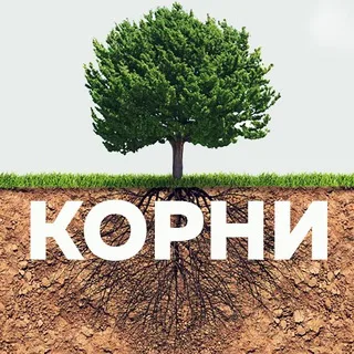 КОРНИ banner