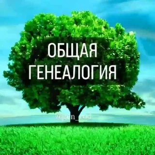 ОБЩАЯ ГЕНЕАЛОГИЯ banner