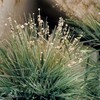 Kola Nature and Minerals / Природа и минералы Кольского полуострова) banner