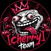 [cherry] team banner