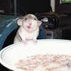 По Ля Ля | мемы и еда banner
