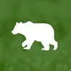 Природа России banner
