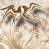 Очень Древняя Греция banner