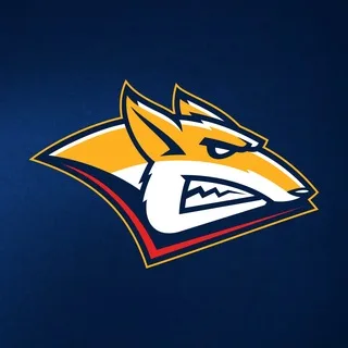 ХК «Металлург» banner