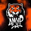 Территория Тигров | ХК «Амур» banner