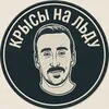 Крысы на льду banner