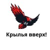 Крылья вверх!⁠⁠ banner