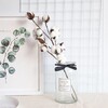 Alexis_home banner