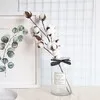 Alexis_home banner