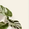 Home Look banner