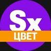 Секси-цвет. Твое вдохновение banner