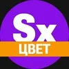 Секси-цвет. Твое вдохновение banner