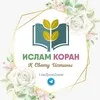 ИСЛАМ | КОРАН |ХАДИСЫ banner