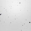 Лечение от джиннов banner