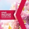 Культура24 banner