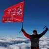 Безопасность и безумие banner
