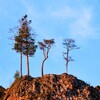 Реки, скалы и леса banner