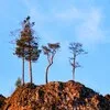 Реки, скалы и леса banner