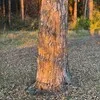 Strong&Long Photogallery banner