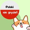 Polski nie gryzie! (Польский язык не кусается!) banner