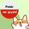 Polski nie gryzie! (Польский язык не кусается!) banner